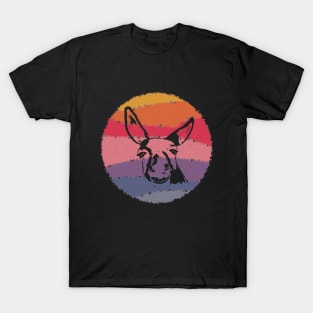 Donkey Orb T-Shirt